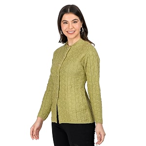 Lady Willington Women Woolen Round Neck Self