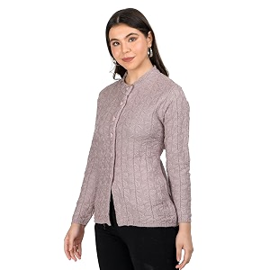 Lady Willington Women Woolen Round Neck Self