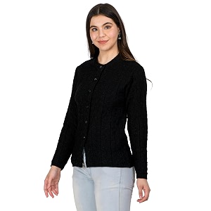 Lady Willington Women Woolen Round Neck Self