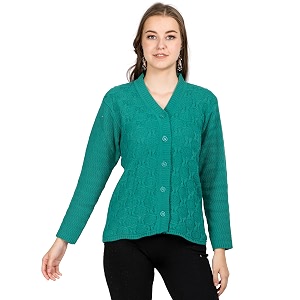 Lady Willington Women Woolen V-Neck Self Design