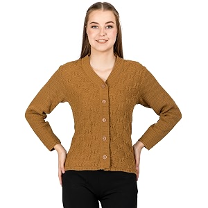 Lady Willington Women Woolen V-Neck Self Design