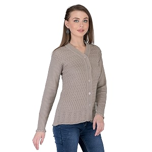 Lady Willington Women Woolen V-Neck Self Design