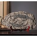 LAGOM HOUSE Dinosaur Fossil Dinosaur Room Decor Statue of Plesiosaur Dinosaur Fossils for Room | Resin Jurassic Plesiosaur Dinosaur Model Gift for Adults Collection Decor Learning Educational
