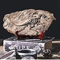 LAGOM HOUSE Dinosaur Fossil Resin Dinosaur Skeleton Model Skull Statue Bones Figurines T rex Tyrannosaurus Skull Replica Fossils | Dinosaur Decor for Bookshelf Desktop Shelf Display 13x 7in