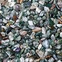 LAIDANLA Aquatic Agate Crushed Stone Crystal Chips Bulk Natural Gemstones Healing Reiki Crystals Mini Quartz Vase Filler Aquarium Gravel 100g