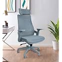 Lakdi High Back Mesh Office Chair with