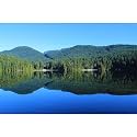 Lake Aquarium Background Tranquil Forest Mountain Reptile Tank Backgrounds Blue Sky Spectacular Natural Lake Fish Tank Background Rainforest Mountains Reptile Enclosure Backgrounds Decors 48x20in