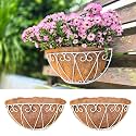 LaLaGreen Balcony Wall Planter (12 in, 2 Pack) White Coco Liner Flower Pots
