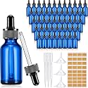 Lallisa 100 Pack Essential Oil Dropper Bottle 30 ml (1 Oz) Glass Dropper Bottles DIY for DIY Essential Oil Perfume with 5 Funnels 5 Pipettes 3ml 100 Labels for Bathrooms, Hotels, Labs (Blue)