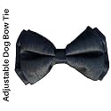 Lana Paws Winter Wonderland Holiday Dog Bowtie (S-M)