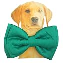 Lana Paws Emerald Green Silk Dog Bowtie (Adjustable),1 Count