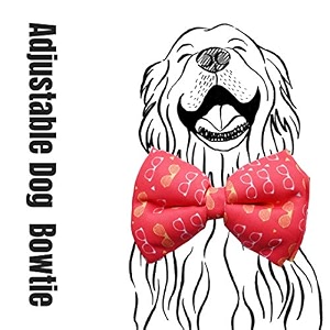 lana paws funky frames dog bow tiebowtie s-m