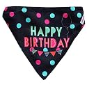 Lana Paws Happy Birthday Dog Bandana/Dog Scarf/Dog Gifts, S-M