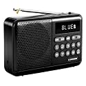 Landmark Button 4 Portable FM Radio with Bluetooth, Type-C Fast Charging, 6H Battery Backup, Digital Display