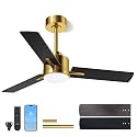 LANMEL Metal Ceiling Fan with Lights and Remote, 42 Inch, Gold &amp; Black