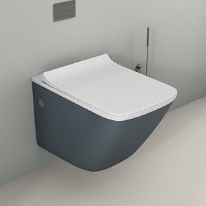 lapo p trap wall hung ceramic rimless wall mounted commodewestern toilet with soft closing toilet seat charcoal grey 21x14x14 inch-liva