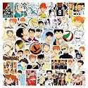 Laptop Vinyl Self-Adhesive Sticker for Adults, Multicolor Stickers for Laptop, Journal, Guitar, Mobile - Waterproof Residue Free (Haiky Anime)