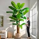 Large Artificial Banana Tree Tall Faux Tropical Bananas Trees Indoor Outdoor Realistic Floor Plant Big Fake Plants for House Home Living Room Office Front Porch Decor Outside Patio para decoracion