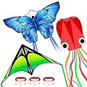 Large Beach Kite and Reel Winder with 650ft String for Kids and Adults, Single Line Kite, Extremely Easy to Fly for Beginners