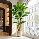 Large Fake Tropical Bananas Trees Tall Artificial Banana Tree Indoor Outdoor Realistic Floor Plant Big Faux Plants for House Home Living Room Office Front Porch Decor Outside Patio para decoracion