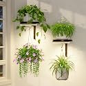 LASZOLA Plant Hanger Holder Shelf Wall Indoor with Lights, 2 Pcs Black