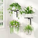 LASZOLA Plant Hanger Holder Window Shelf Wall Mounted Indoor, 2 Pcs Black