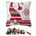 Latch Hook Kits Pillow Christmas Hat Crochet Yarn Cushion Colour Pre-Printed Canvas Rug Needlework DIY Pillowcase Hook and Latch Kit Home Arts Crafts Sofa Decoration 42x42cm/16X16inch