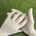 Latex Gloves | 50 Pairs |(100 Pieces) 1 Box| Large | Disposable | Surgical | Non Sterile | Medical Examination | All-Purpose | Less Powdered | Cleaning|Ambidextrous
