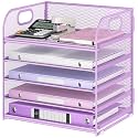 Lavatino Desk Letter Tray Paper Organizer, 5-Tier with Handle Metal Mesh Desktop File Organizer Paper Holder for Classroom Office Desk Accessories- Purple