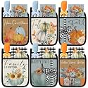 Layhit 18 Pcs Blue Pumpkin Fall Pot Holder Baking Set with Silicone Spatula