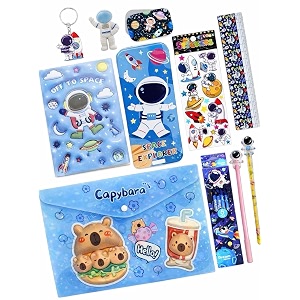 le delite combo gift pack of 10 items space astronaut stationery set for boys amp girls return gifts for girl amp kids stationery items pencil box with all stationary space
