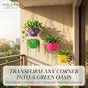 Leafy Tales Plastic Hanging Pot with Chain , Medium, 15 Pieces