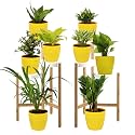 Leafy Tales Set of 8 Air Purifying Plants Combo- Areca Palm, Sansevieria Green, Golden, Green & White Money Plant, Plant, ZZ Plant, Jade and Dwarf Syngonium, Yellow Plastic Pot