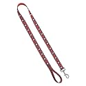 Leash 3/4 inch by 4 Feet, University of Illinois - Argyle
