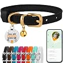 Leather Cat Collar, Removable Bells, QR Tag (7-9", Black & Gold)