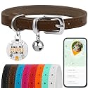 Leather Cat Collar, Removable Bells, QR Tag (7-9", Dark Brown & Silver)