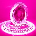 LED Light Strip, 16.4ft 600 Units SMD 5054 LEDs(5050 Upgraded), 16000LM Flexible 12V DC Non-Waterproof Light Strips, LED Ribbon, DIY Christmas Home Kitchen Indoor Party Decoration (Pink)