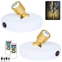 HAMVIDNE LED Spotlights Indoor, Rechargeable Battery Picture Display Lights