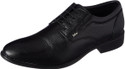 LEE COOPER LC1473E2R Lace Up For Men
