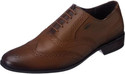 LEE COOPER LC2033B1R Lace Up For Men