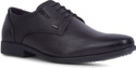 LEE COOPER LC2157B4R Derby For Men