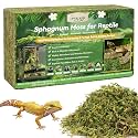 Legigo 1.3LB Natural Sphagnum Moss for Reptile Terrarium Substrate Bedding