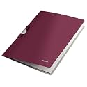 Leitz Style PP ColorClip Premium File Folder with Clip Fastener, Garnet Red (40 Sheets Capacity)