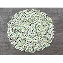Lemon Chrysoprase Chips – Natural Mini Lemon Chrysoprase Stones, Crushed Undrilled Lemon Chrysoprase, Semi-Tumbled Genuine Lemon Chrysoprase (1 lb Bulk)