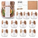 LemonRoad 12 Pcs 10oz Simmer Pot Potpourri Glass Jars with Lids for Kitchen