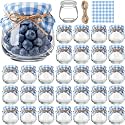 LemonRoad 30 Pcs Glass Jars with Lids Mini 3.4 oz Yogurt Jars for Jam