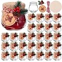 LemonRoad 30 Pcs Mini Yogurt Jars 3.4 oz Glass Bottles with Plastic Lids for Jam, Honey, Wedding Favors, Birthday Party Decor Mason Jar with Checkered Cloth and Rope (Circle,Pine Style)