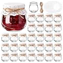 LemonRoad Mini Yogurt Jars 3.4 oz Glass Bottles with Plastic Lids for Jam, Honey, Wedding Favors, Birthday Party Decor Mason Jar with Checkered Cloth and Rope (Circle,French Lace Style,30 Pcs)