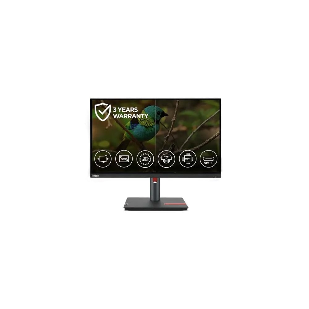 Lenovo ThinkVision P24h-30 23.8 inches QHD Monitor | 2560x1440