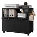 Letaya Mobile 2 Drawer File Cabinet with Lock, Metal Lateral Printer Stand Filing Storage Cabinets with Shelves for Home Office-A4/F4/Letter (Black)